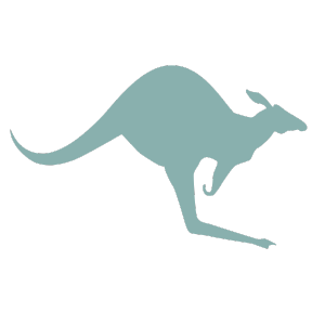 Kangaroo Animal